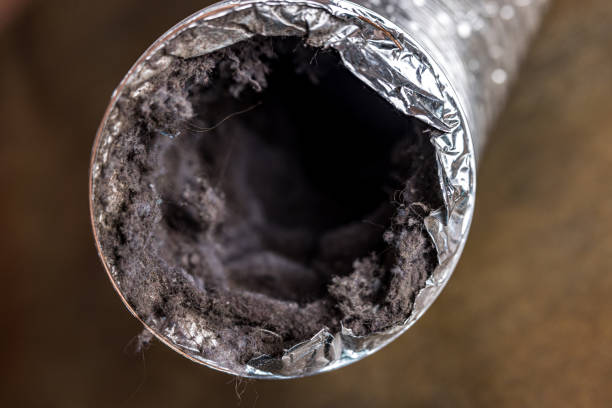 Best Air Duct Cleaning Near Me  in Lawnton, PA