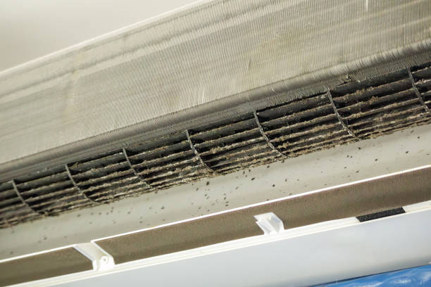 Best Professional Duct Cleaning Services  in Lawnton, PA